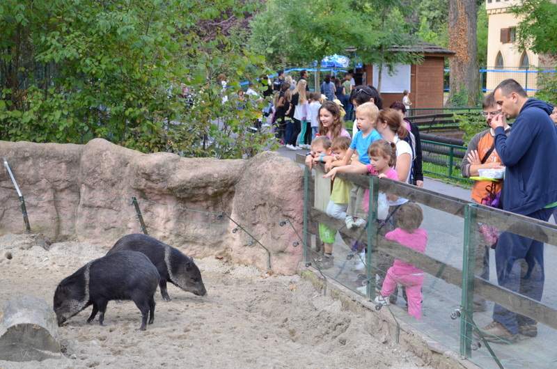 Zagreb ZOO in the Maksimir park a place to visit with your family and ...